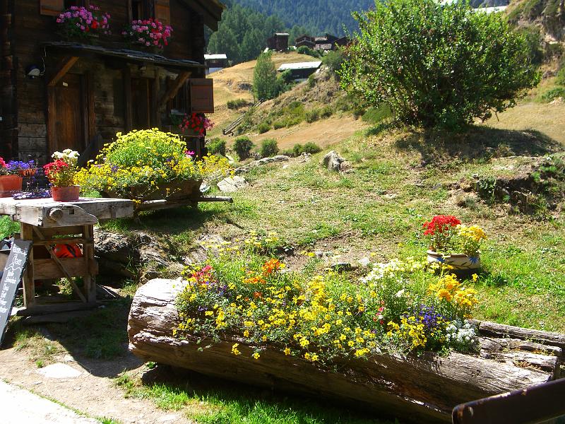 Gornerschlucht 2006 076 